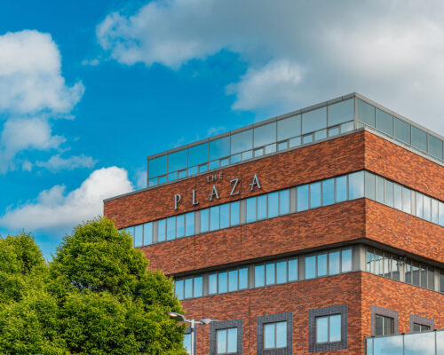 Building back Logo