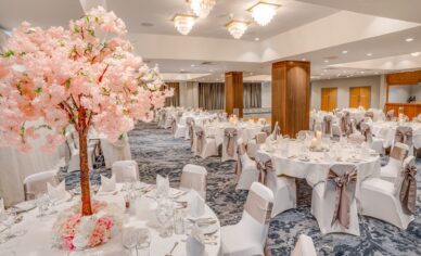 Plaza 1 wedding set up 2