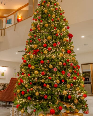 xmas 3