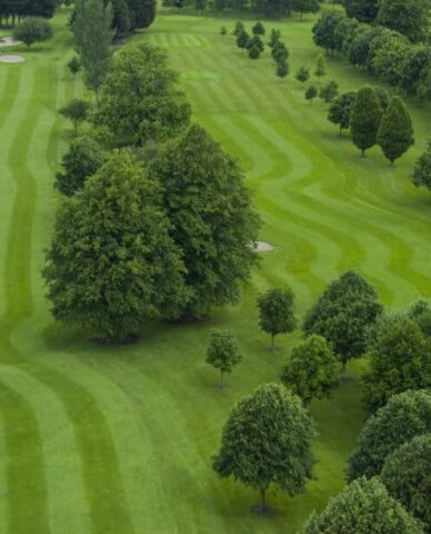 Newlands